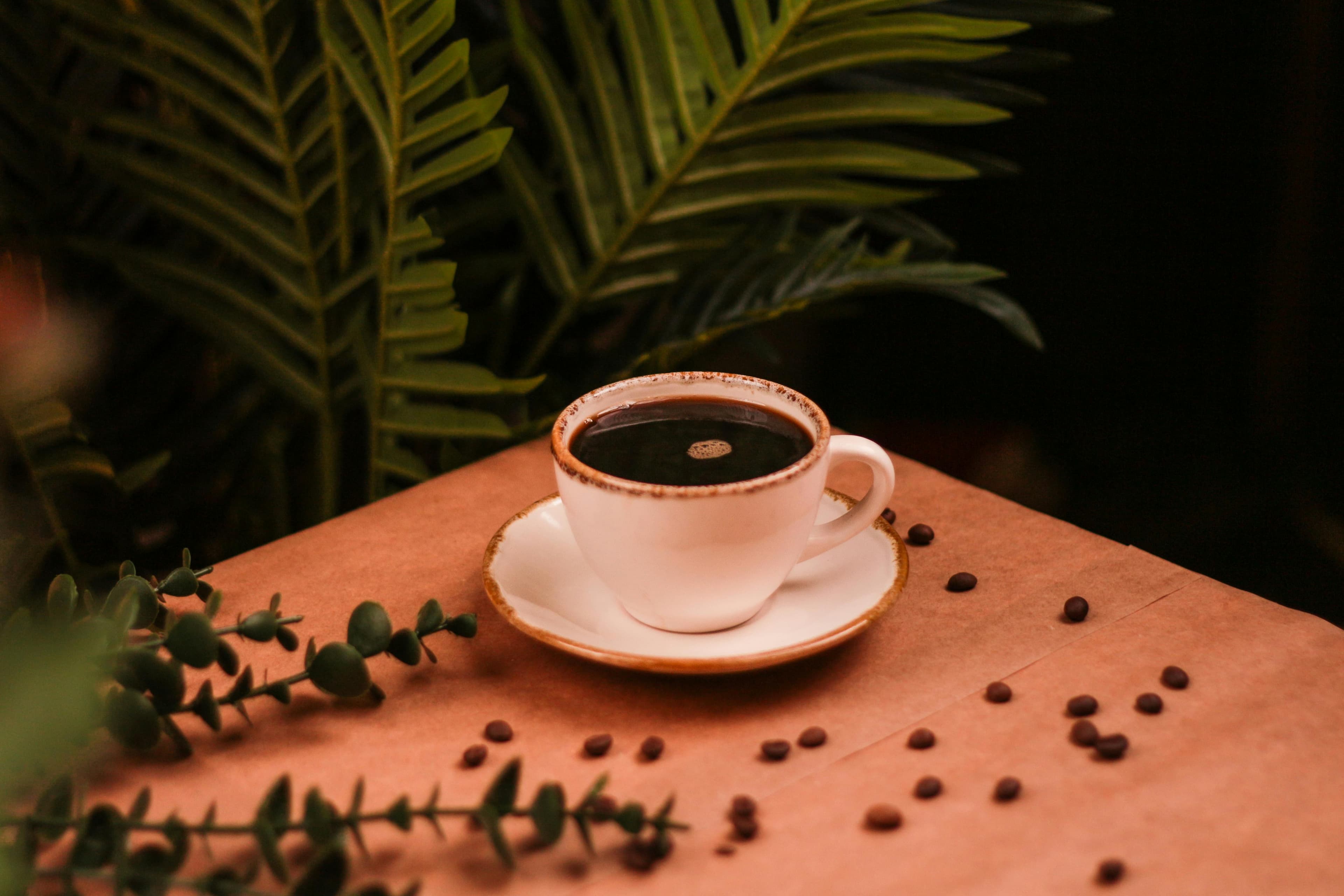 Barista Experience